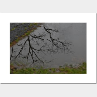 Mud Puddle Reflection Posters and Art